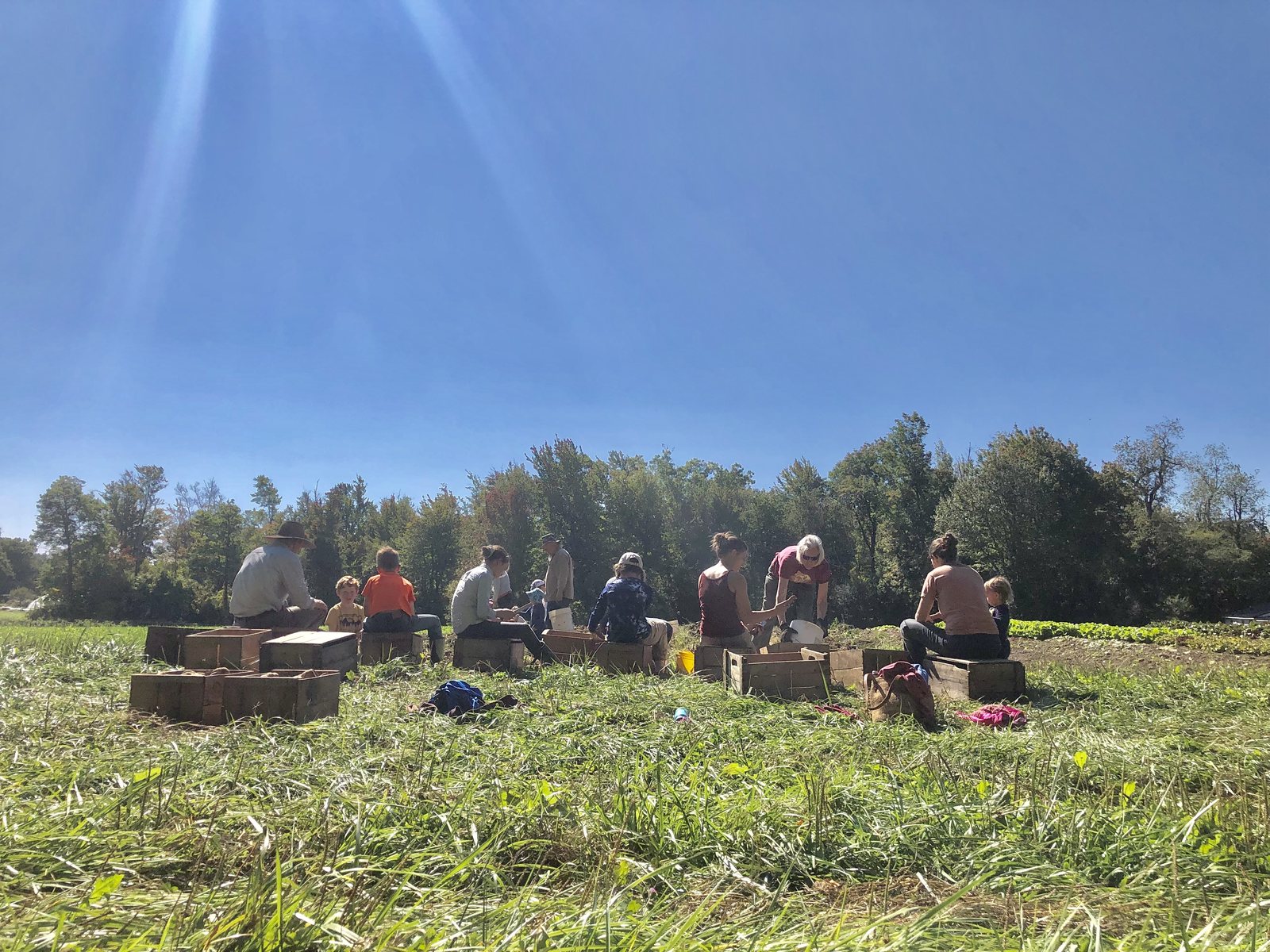 People gathered in a Temple-Wilton Community Farm field